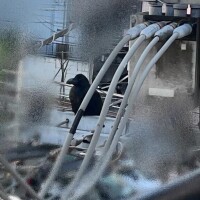 距離が縮まる…♡