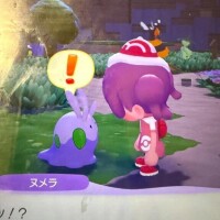 さいきんはぽこあポケモンにハマってます