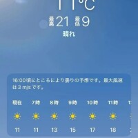 おはようございます☀️
