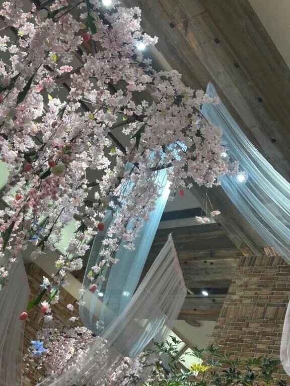 春の温かみ︎💕︎