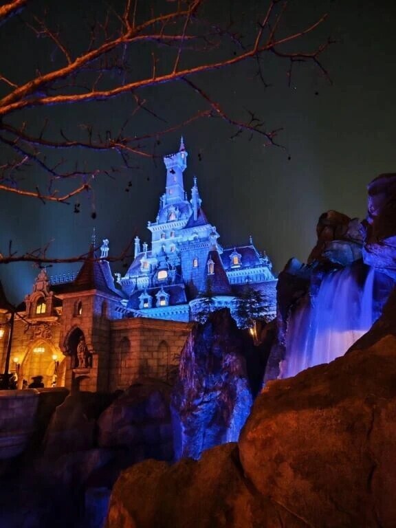 ディズニーの思い出