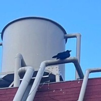 おとく