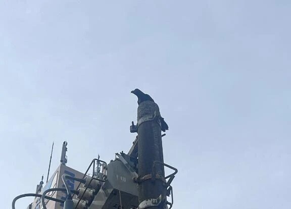 こんにちは