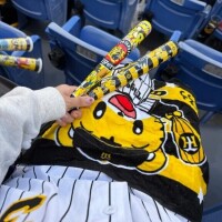 最近試合見に行きました🐯