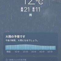 みれい