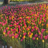 今日もありがとうございます💜
