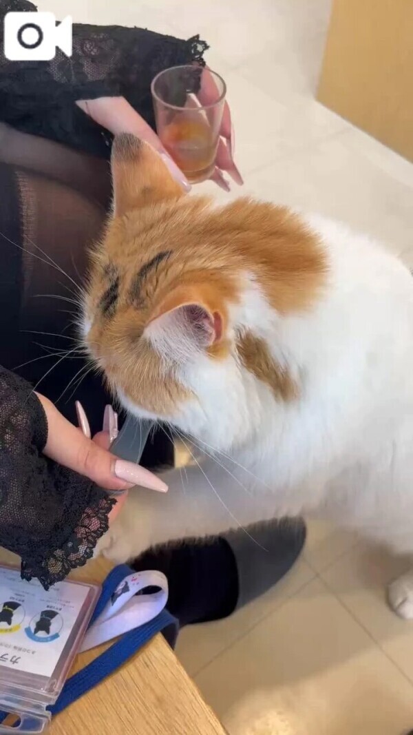 あした