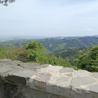 らて