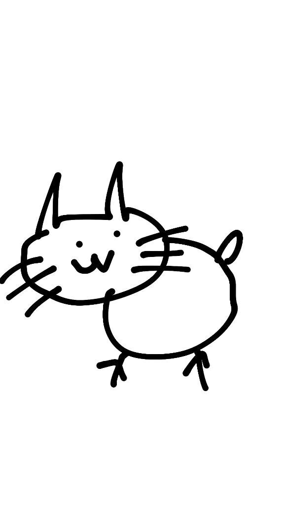 🐱