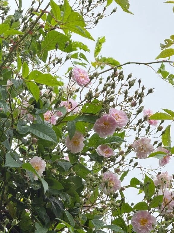 今日はありがとうございました💚