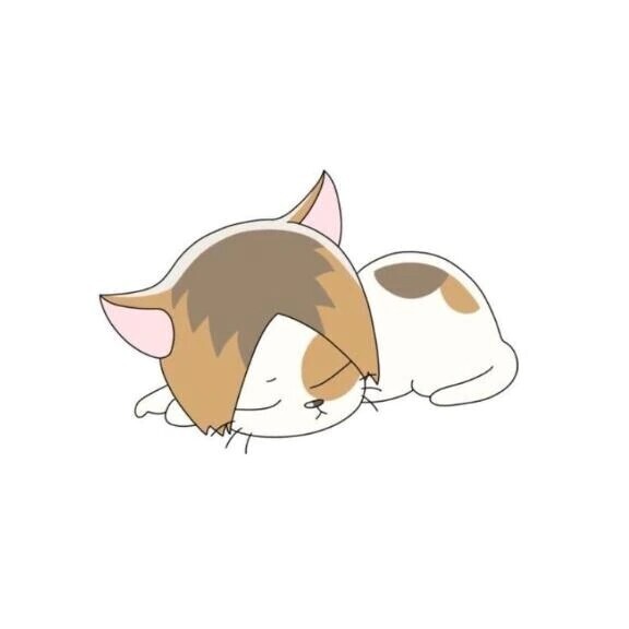 Birthday🎂🎉