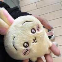 ぷわころうさぎ🐰