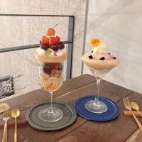 ?予定?6/23.24