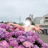 気になってる?