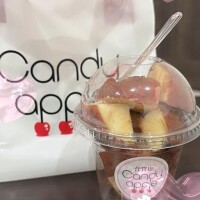 ここ