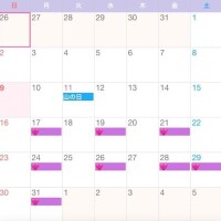 8月後半