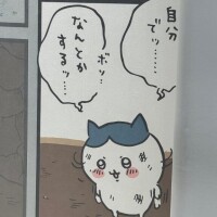 なずな