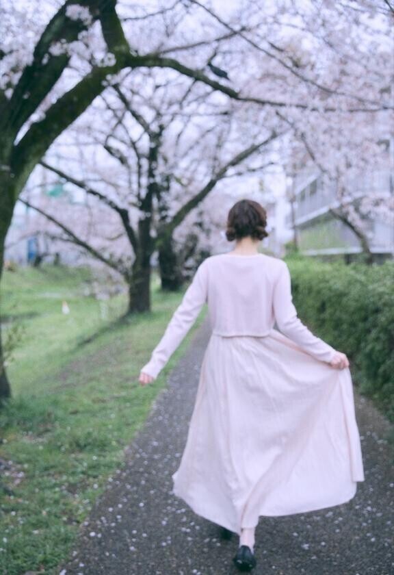 雨にも負けず?