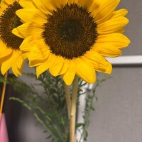 81年後の今日