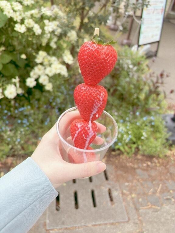 おはにょーん