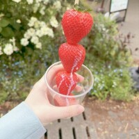 おはにょーん