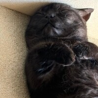 おはよう(  ???? )?