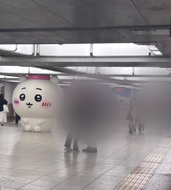 おそよう?