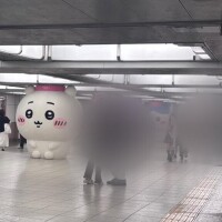 おそよう?