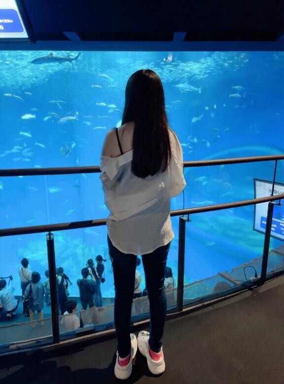 おさかなさん