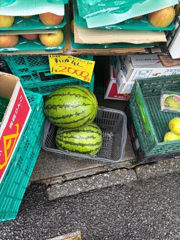 迷ったスイカ?