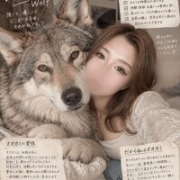ひびき