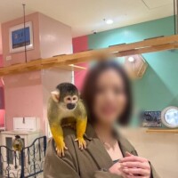 あのん