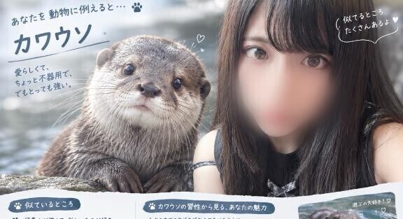 流行りのやつ?