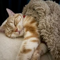 今日まで??