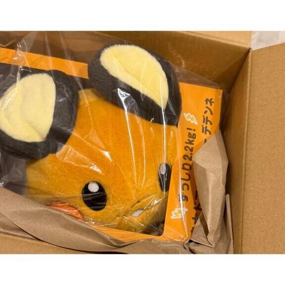 最近等身大に目がありません