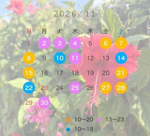 11月の予定????