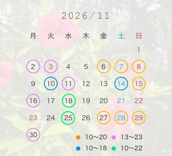 【訂正ver.】11月の予定?