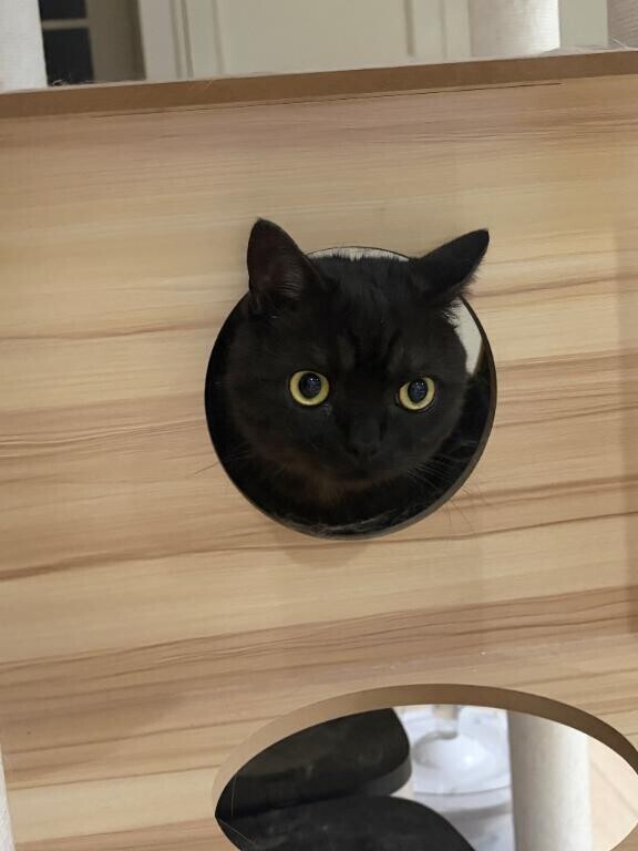 今日はお休み?