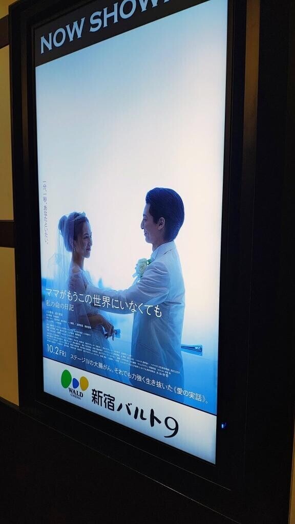 ?観てきた?