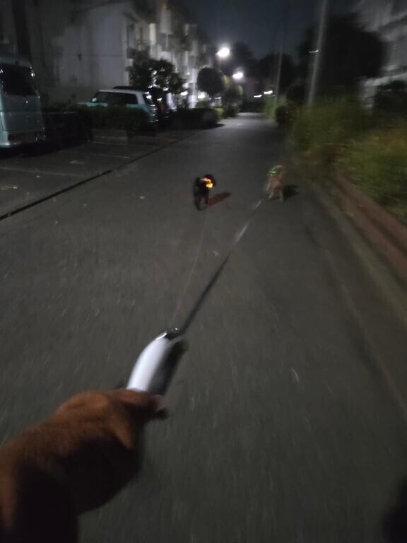 イザナイ