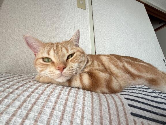 ごめんなさい??♀??