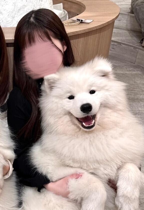 悔しいわ?
