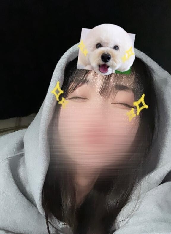 おはまる(  ???? )?