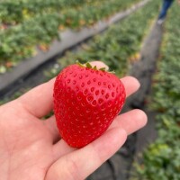 17時からお部屋います！