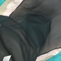 今日が最終日?