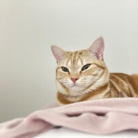 おやすみ～?