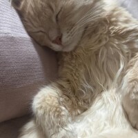 お部屋向かってるー！