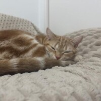 お休みもらいました