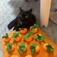 おはよう??