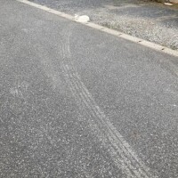 ひな
